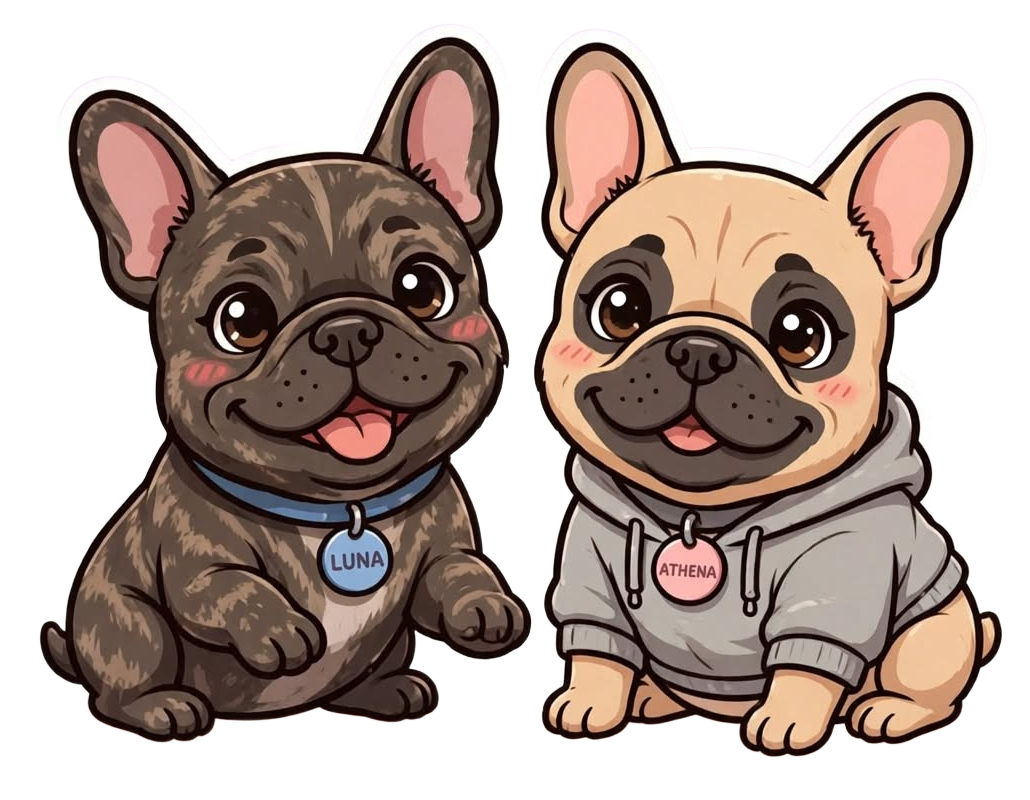 Illustrated Frenchies Luna, a brindle, and Athena, a fawn in a grey hoodie
